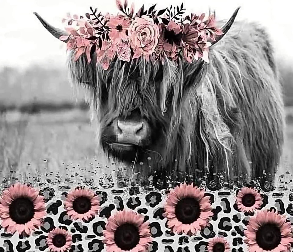 hyland cow with pink flowers