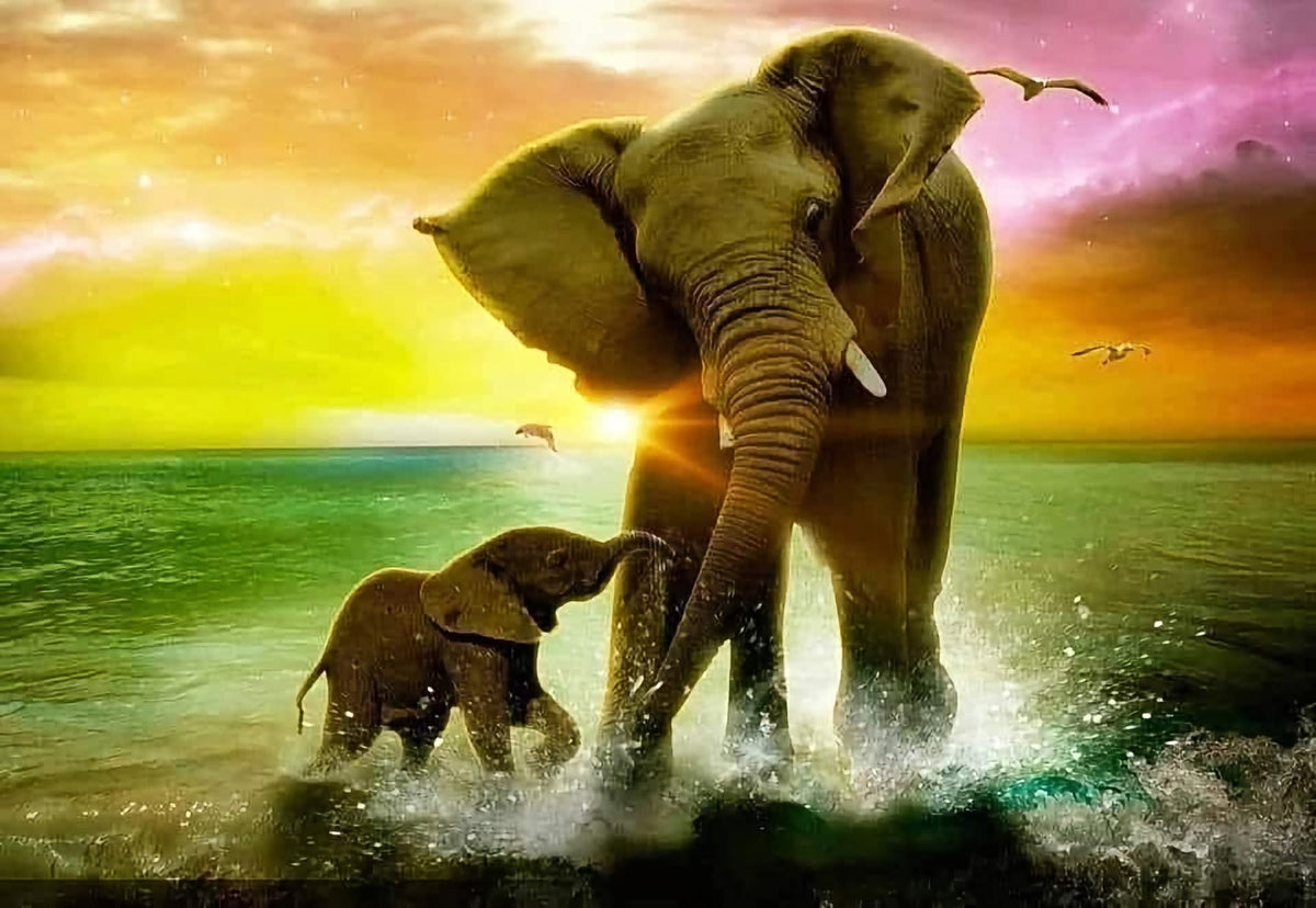 elephant
